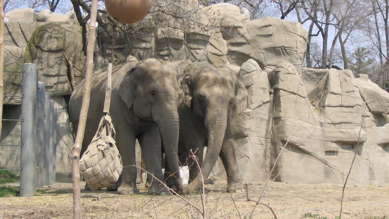 what other zoo s can you visit if you become a member of the detroit zoo what other zoo s can you visit if you become a member of the detroit zoo
