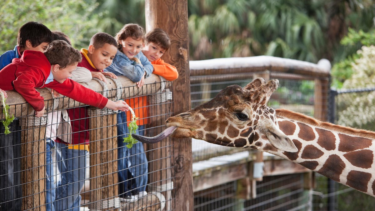 The best zoos in America