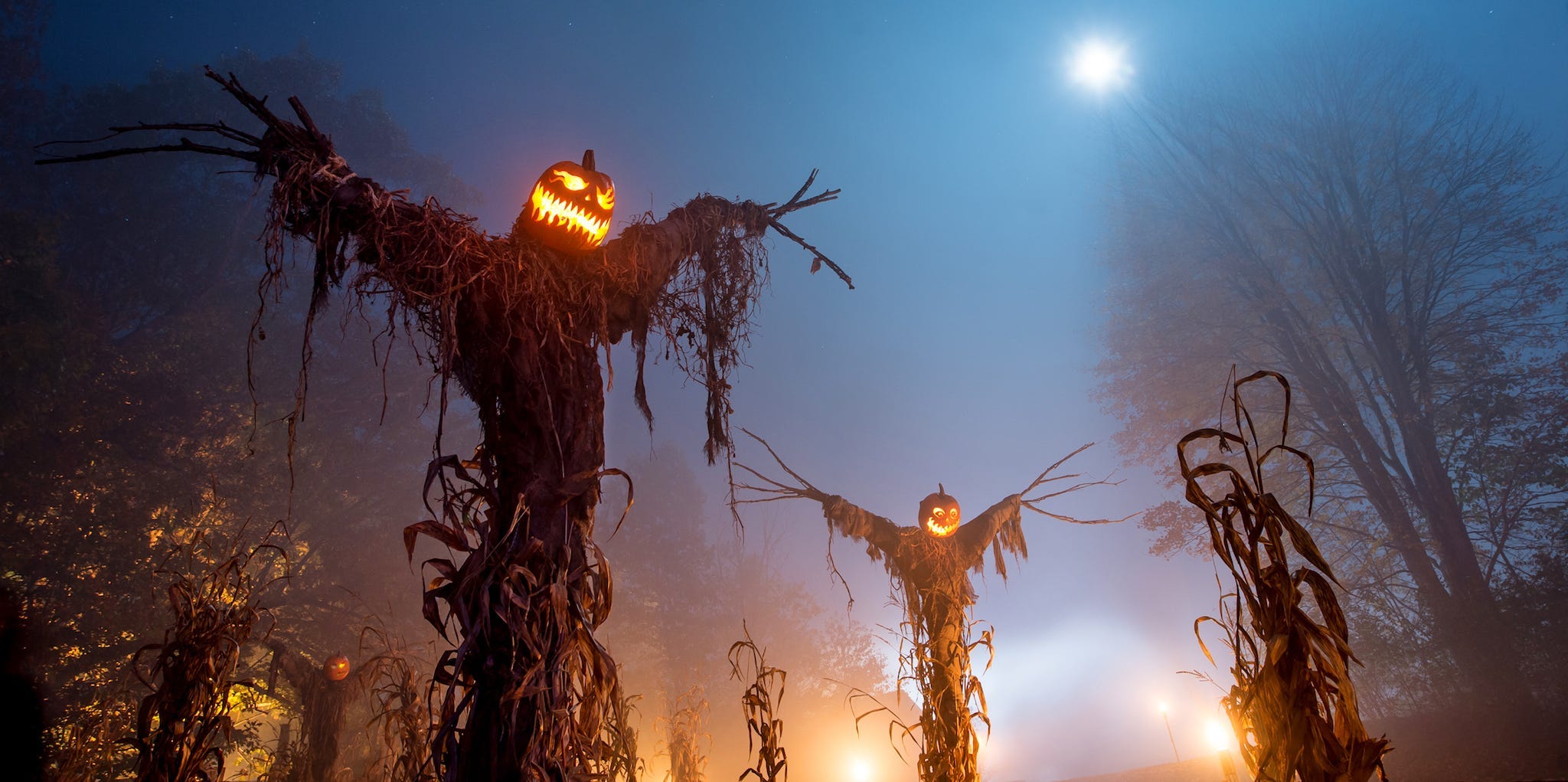 Scary Haunted Trail Ideas allairteltones