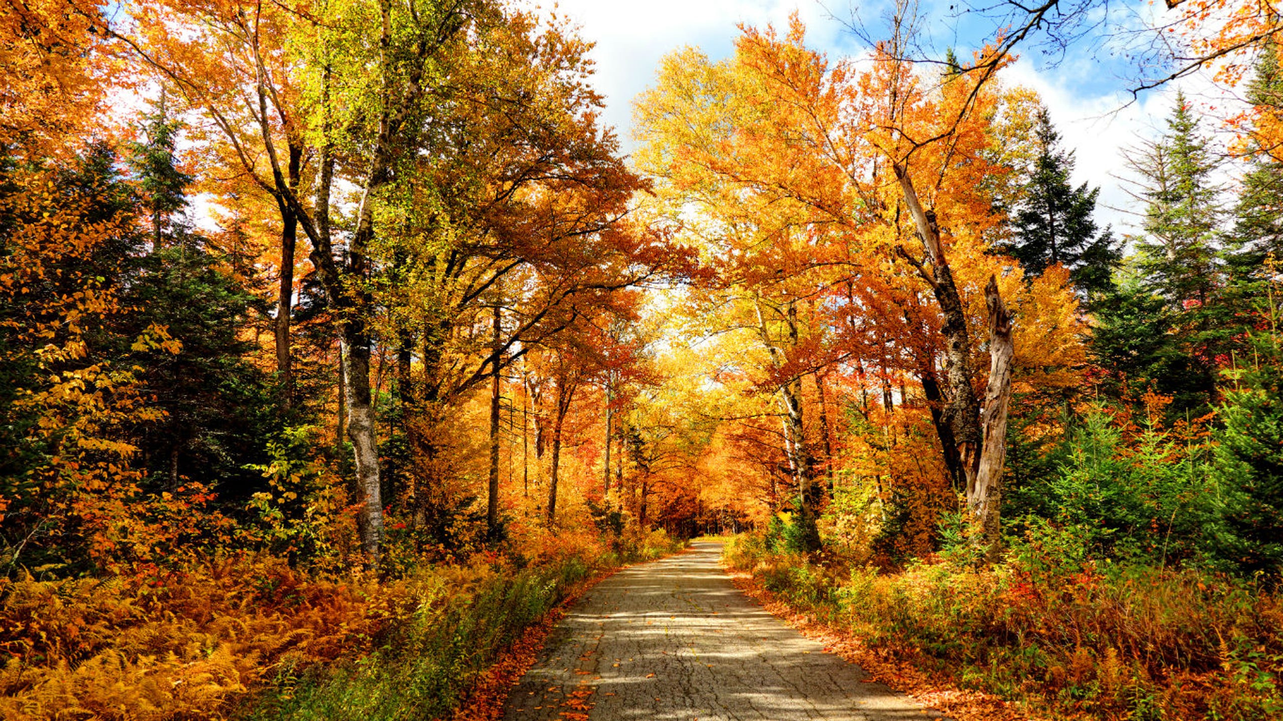 Hilton Head Big Sur Fall Weekend Trips You Should Plan Now Hilton Head Big Sur Fall Weekend Trips You Should Plan Now
