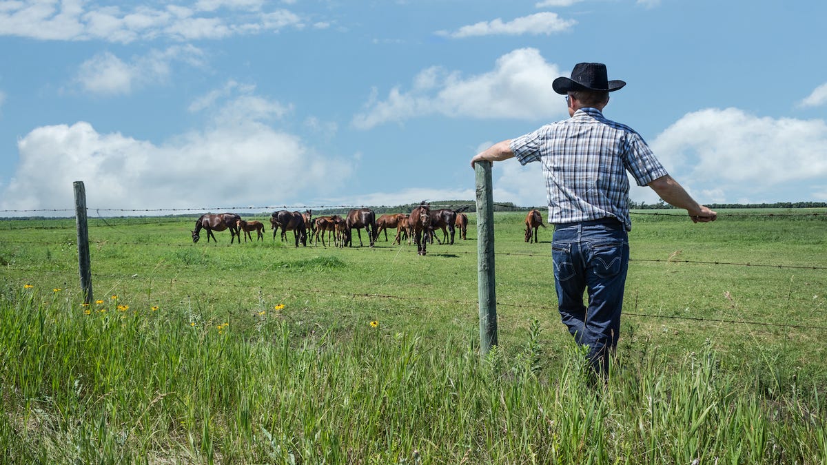 Property owners Who owns the most land in US? Jeff Bezos is one
