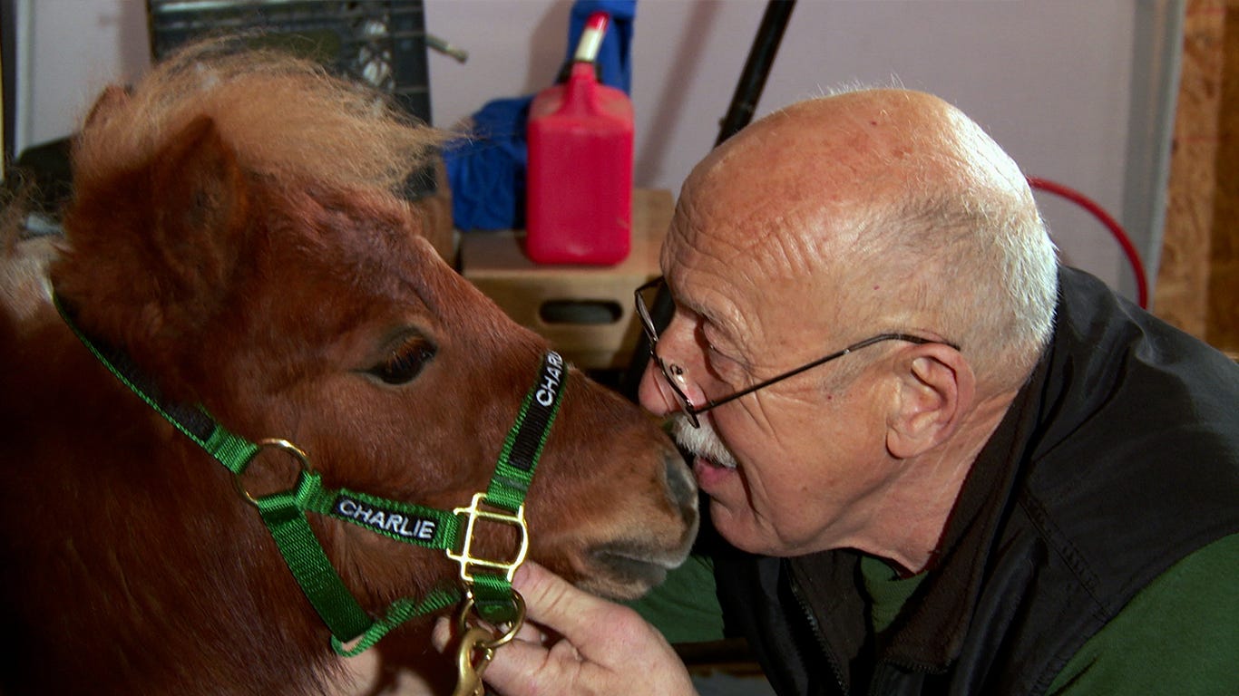 "The Incredible Dr. Pol" of Nat Geo Wild.