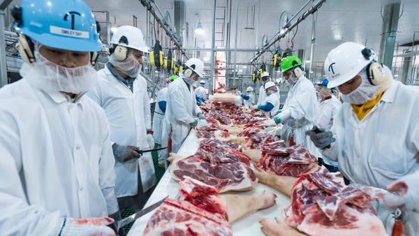 The cutting line in the Triumph Foods pork process