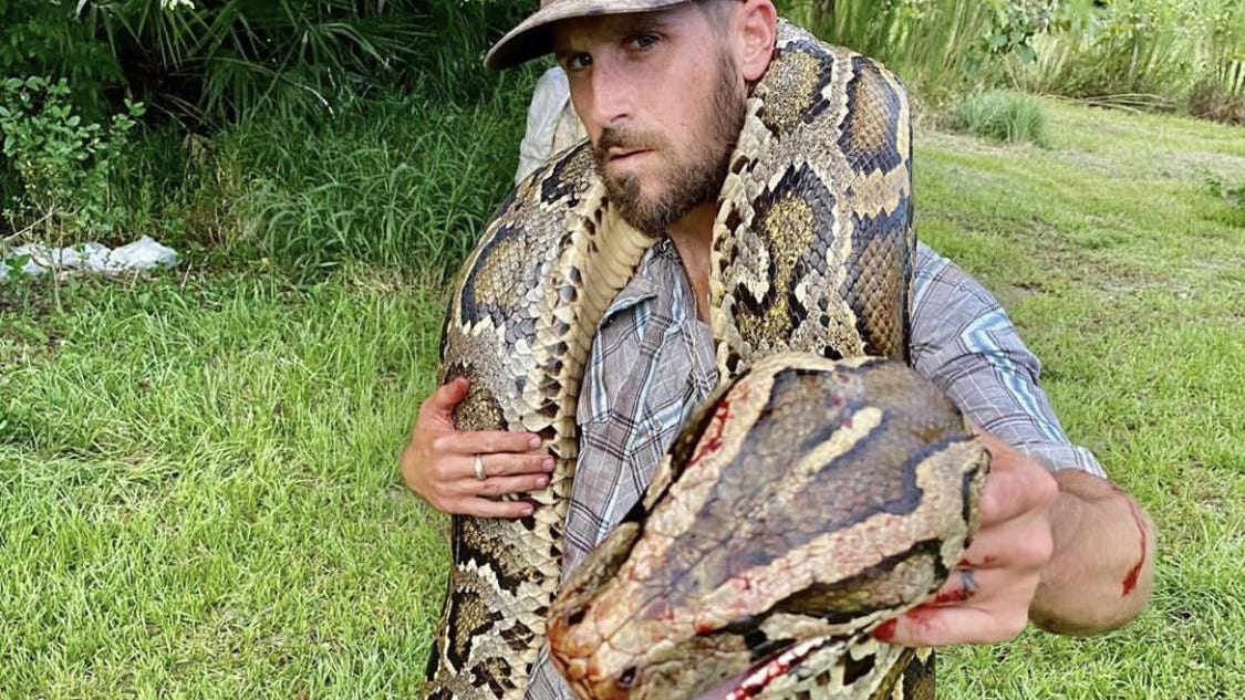 Hunting pythons: New ideas sought for catching snakes in Everglades