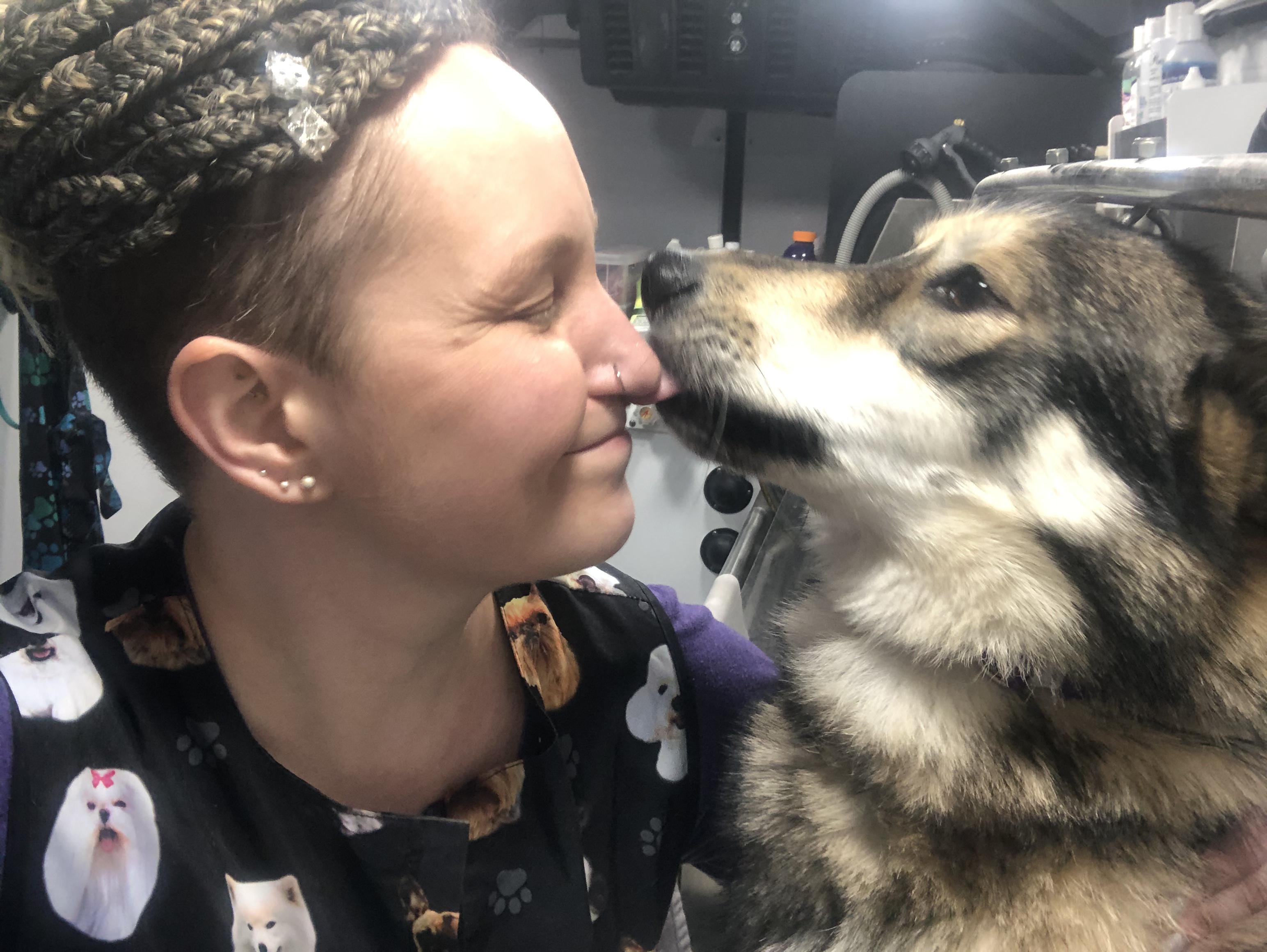 gypsy dog mobile grooming