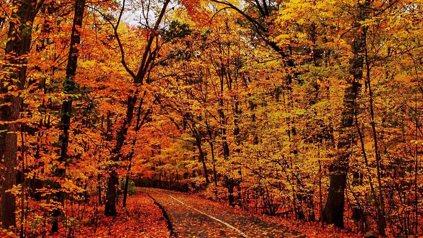 Today is first day of fall, but it won't feel like autumn in the West