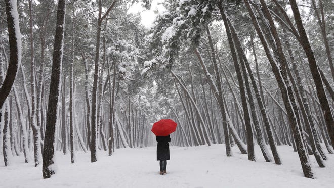 Seasonal affective disorder (SAD) has several nicknames, including seasonal depression and the winter blues.