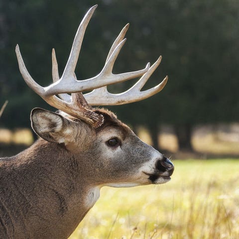 Courtesy photoThe Department of Natural Resources 