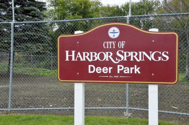 On Monday, Harbor Springs City Council voted to move forward with planning for an electrical substation to be placed where the Deer Park currently sits.