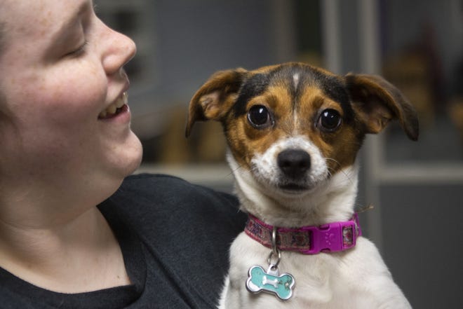 Anna Topping, an administration assistant at the Niles District Library, holds her dog, Lotte, a 10-month-old beagle mix, on Saturday at the Niles District Library.