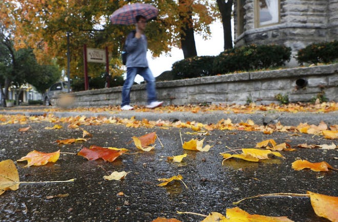 IU grad student Changdong Jia walks along Grant Street as fall leaves begin falling in the rain.
