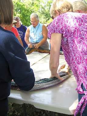 More than 20 people fulled wool Saturday at a traditional waulkin at Sheep Street Fibers in Morgantown. Submitted photo.