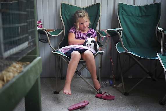 Ella Chastain, 6, plays with her Mini Lop rabbit, called Sugar Cookie, as she and her family enjoyed the warm afternoon Thursday in the rabbit barn at the Lawrence County Fair near Bedford. The fair ended Saturday.