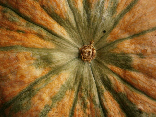 North Naples Church Pumpkin Patch runs through Sunday, Oct. 31, at the church, 6000 Goodlette-Frank Road, Naples.