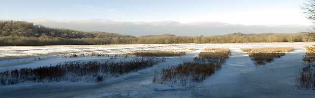 Stillwater Marsh in eastern Monroe County. David Snodgress | Herald-Times