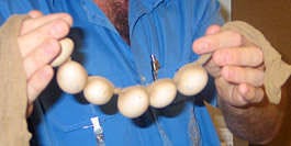 In this undated photo released by the Australian Customs Service, an official shows the six eggs from endangered species that were discovered in a man\'s underwear as he was preparing to fly to Bangkok. Wayne Frederick Floyd pleaded guilty in February to exporting regulated native specimens without a permit or exemption was fined 25,000 Australian dollars (US$20,000) Monday by a judge who rejected his claim that he only wanted to surprise his girlfriend.Australian Customs Service | Associated Press