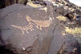 Samples of the rock carvings at Petroglyph National Monument. Courtesy photo.