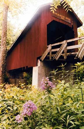 Bean Blossom covered bridge, built in 1880, is one of 93 covered bridges remaining in the state. An effort is under way make the picturesque bridge an historic site. Staff photo by David Snodgress