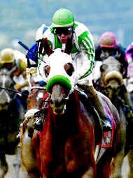 Point Given (left), with jockey Gary Stevens aboard, charges to victory at the Preakness Stakes. Associated Press