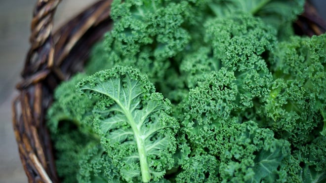 Kale is part of the cabbage family.