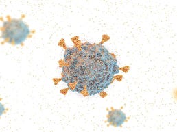 البرد؟  حمى؟  أو حكومي؟  كيف تتحقق من علامات هذا العيد البرد؟  حمى؟  أو حكومي؟  كيف تتحقق من علامات هذا العيد