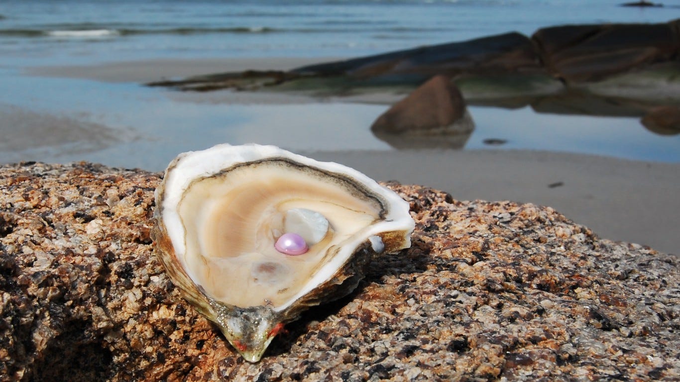Pearls In Clams