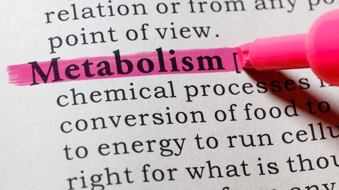 Slow metabolism     A person's metabolism will not function properly if they are sleep deprived. Evidence has suggested that insufficient sleep has a significant influence on metabolism because it alters glucose metabolism and decreasing leptin and increasing ghrelin. Both hormones are involved in regulating metabolism.