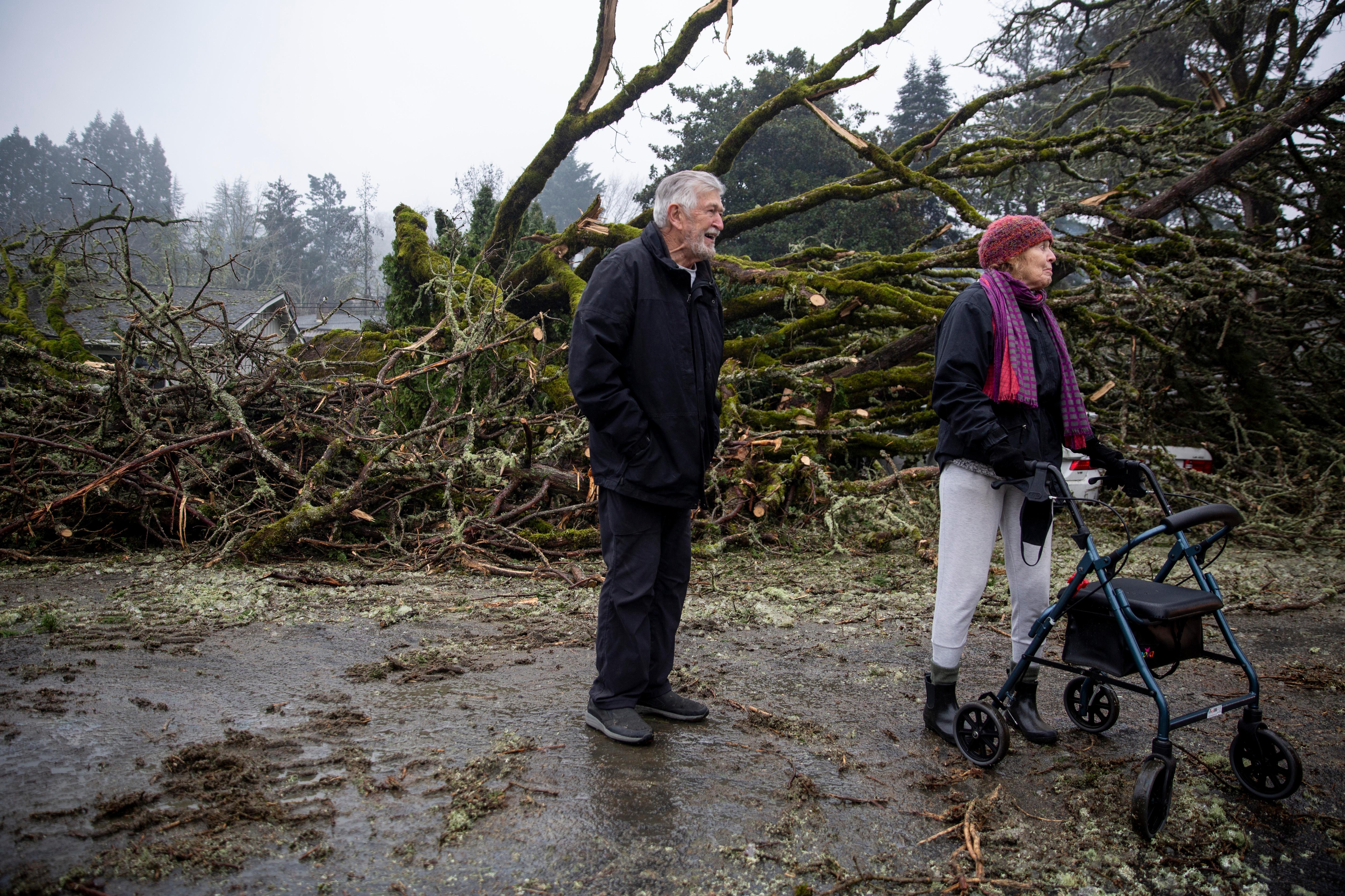 Community members take a walk in south Salem, Ore., to see the damage after an ice storm in February 2021.
