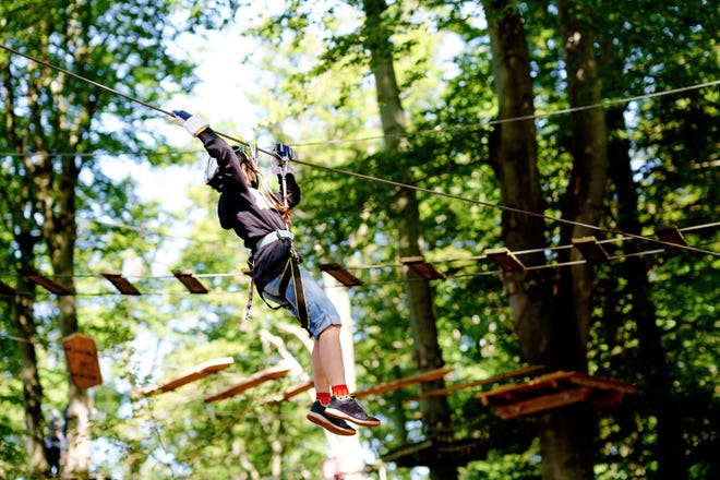 Test your skills at an aerial adventure park