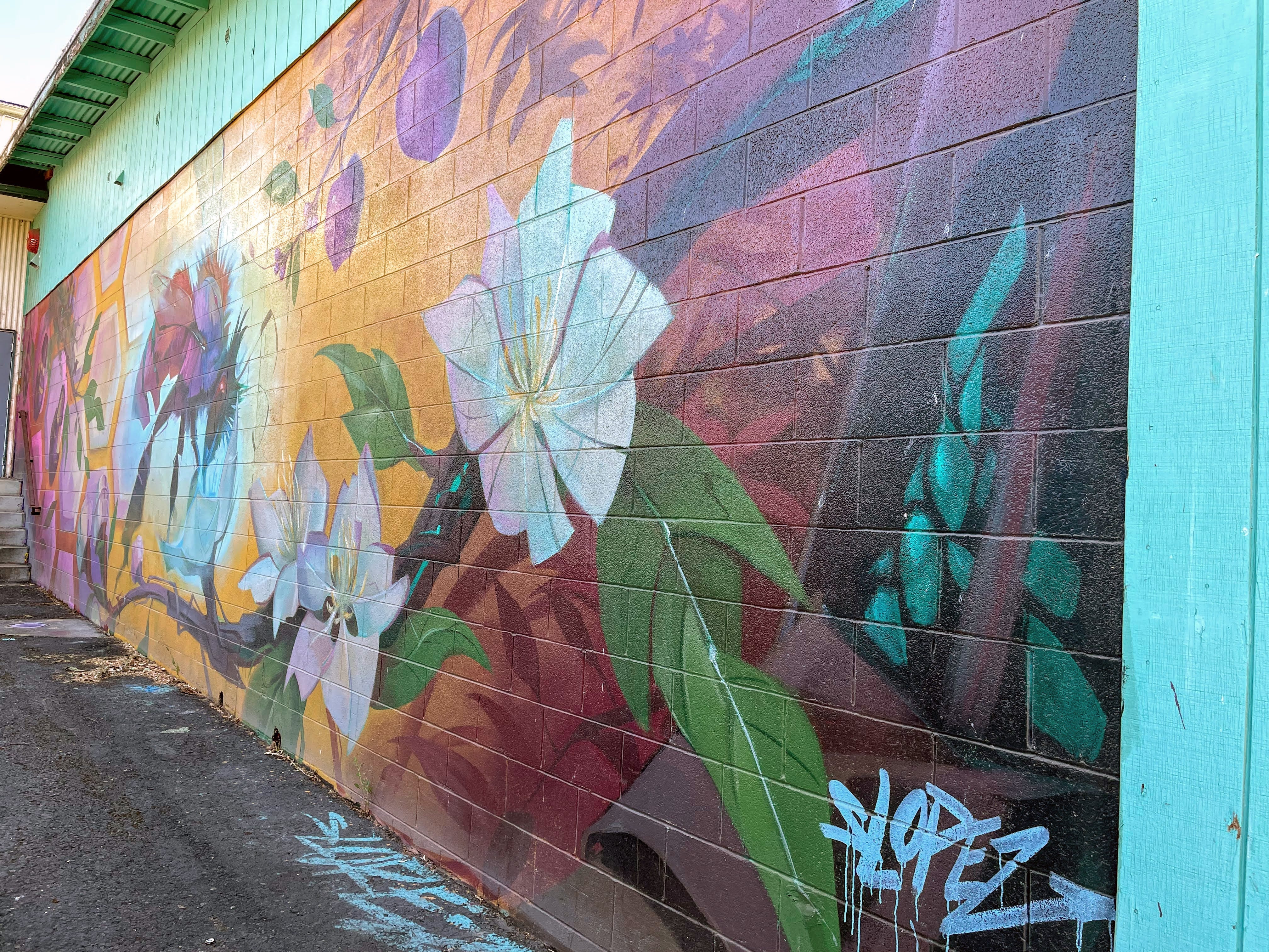 Eugene's mural and street art collection