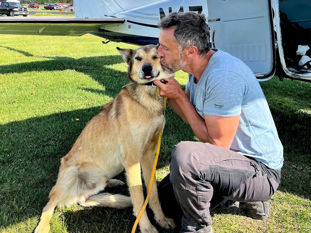 Sled dog reunion, Ali stamp push: News from around our 50 ...