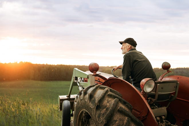 The farms are struggling with labor shortages due to stricter immigration laws and declining interest in the field in recent years.