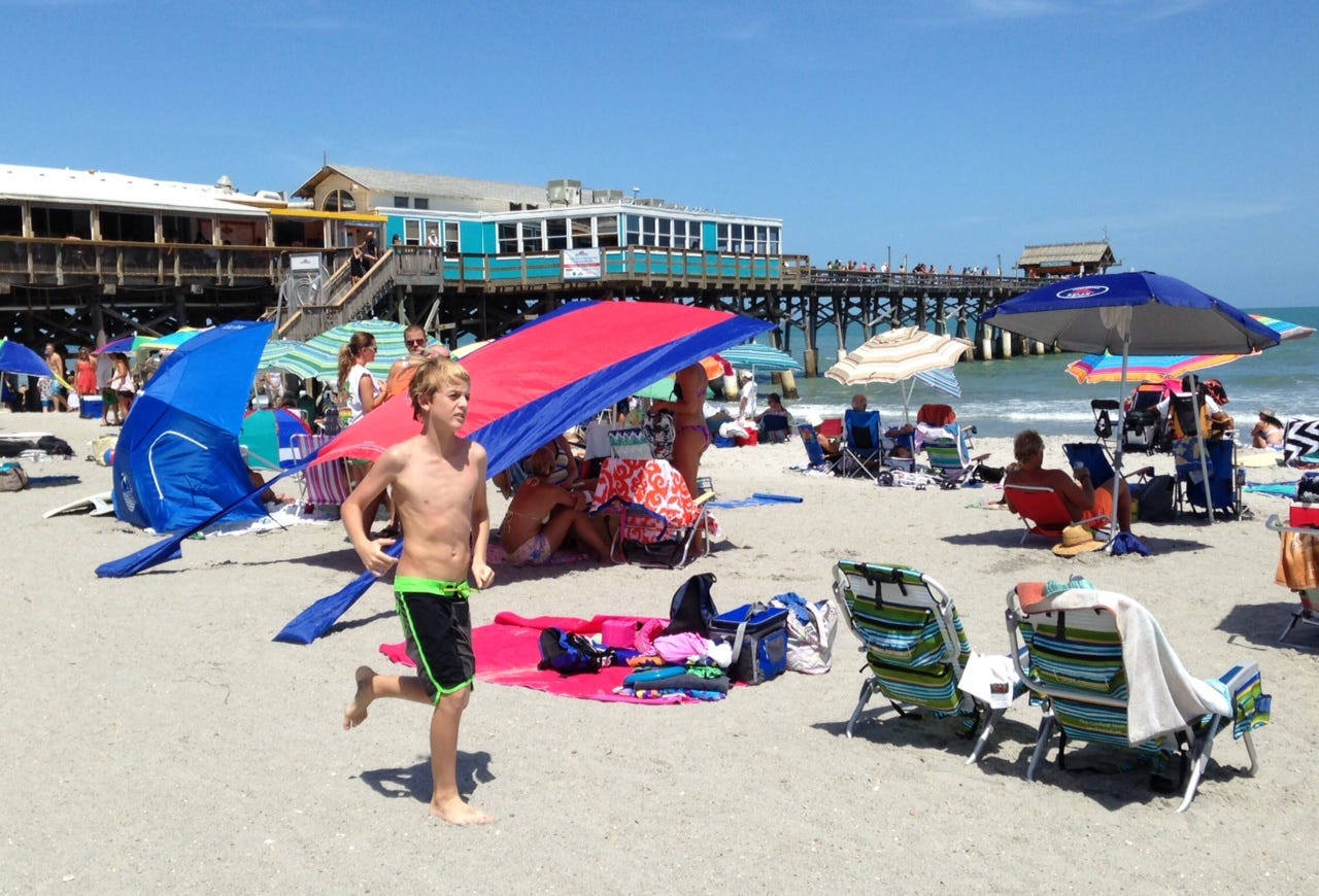 https www floridatoday com story news local environment sharks 2014 08 15 scientists say sharks much teach us 14131193 2015 08 05t15 12 41 943z https www gannett cdn com media brevard 2014 08 15 blacknoseprimary jpeg kaikea nakachi a