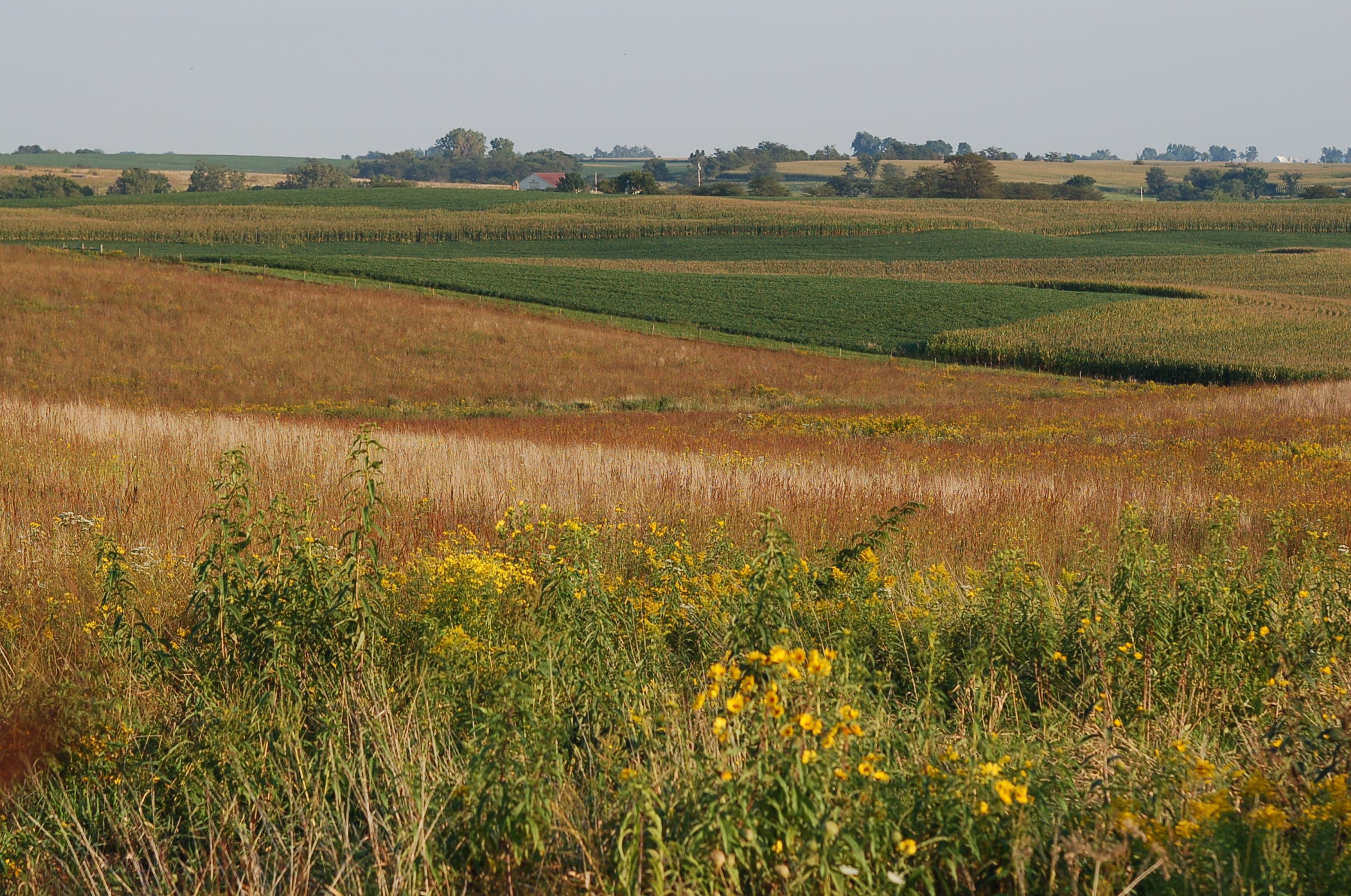 Agriculture research and development funding needs a rebound | Opinion