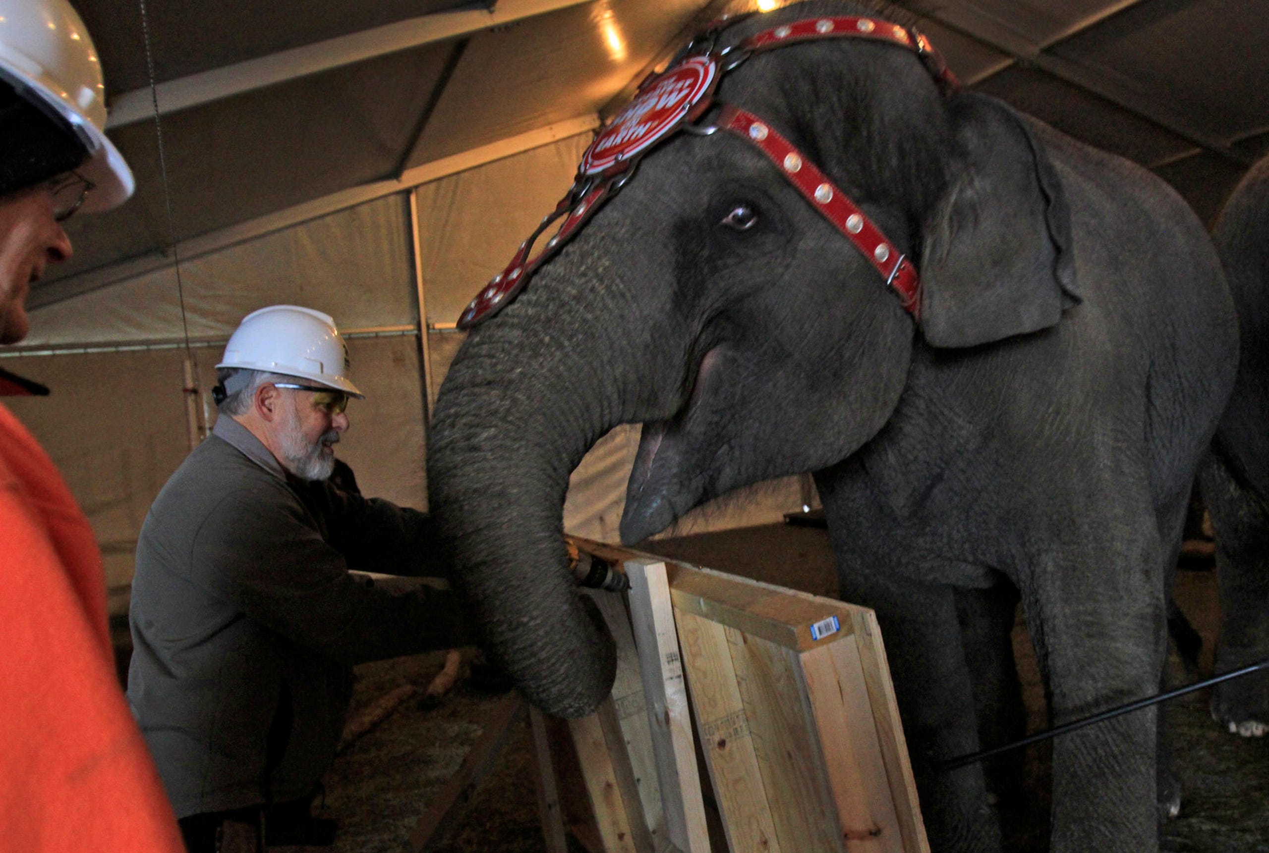 Circus Builds With Habitat For Humanity