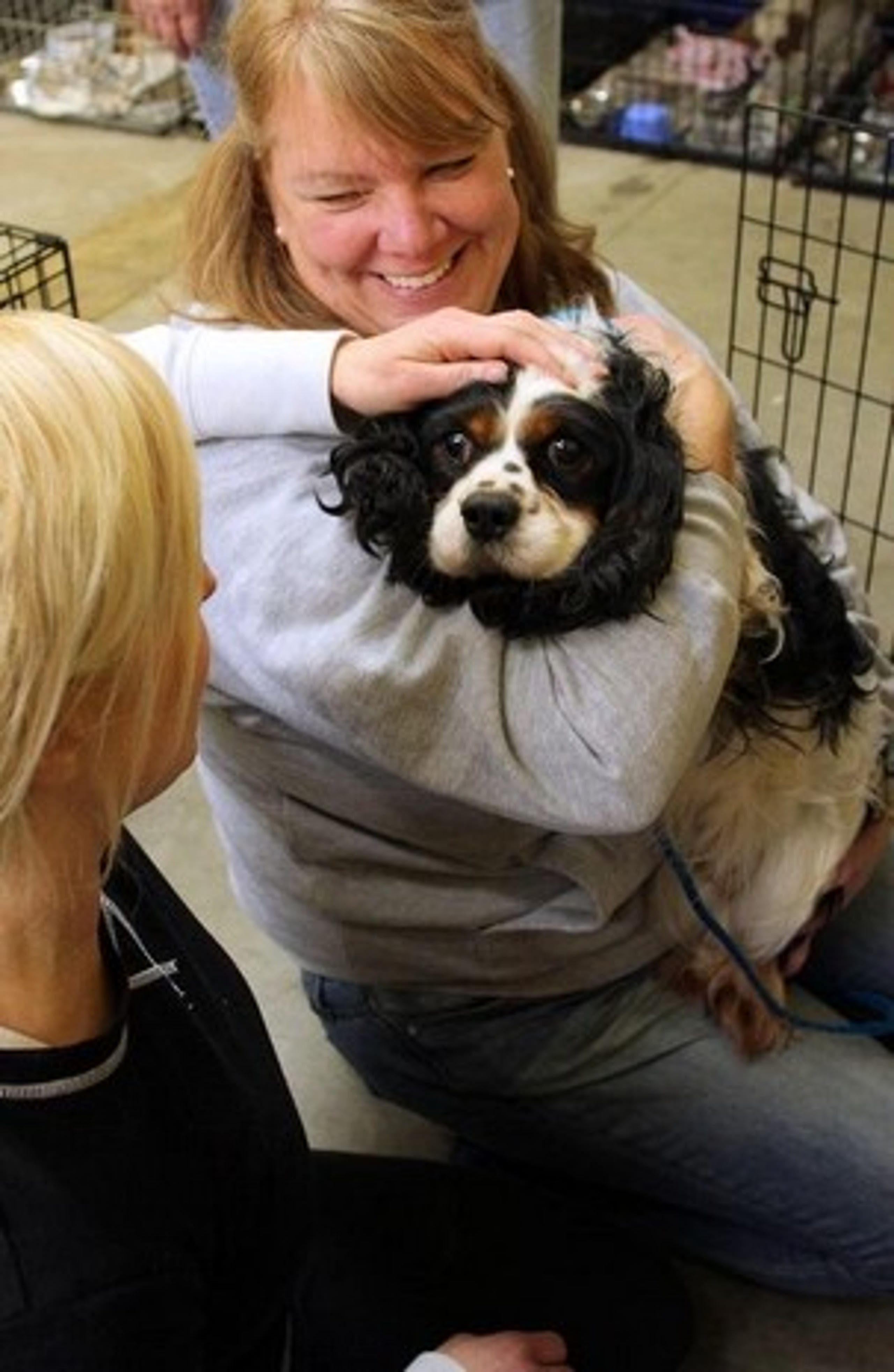 Puppies Licking County Humane Society Petfinder
