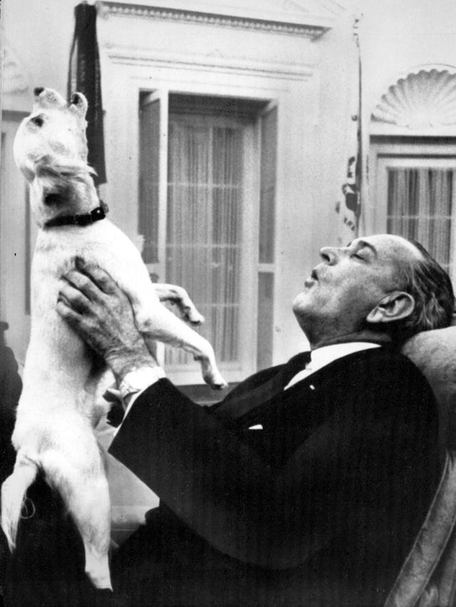 Gallery President Lyndon Johnson Johnson and his singing dog yuki. gallery president lyndon johnson