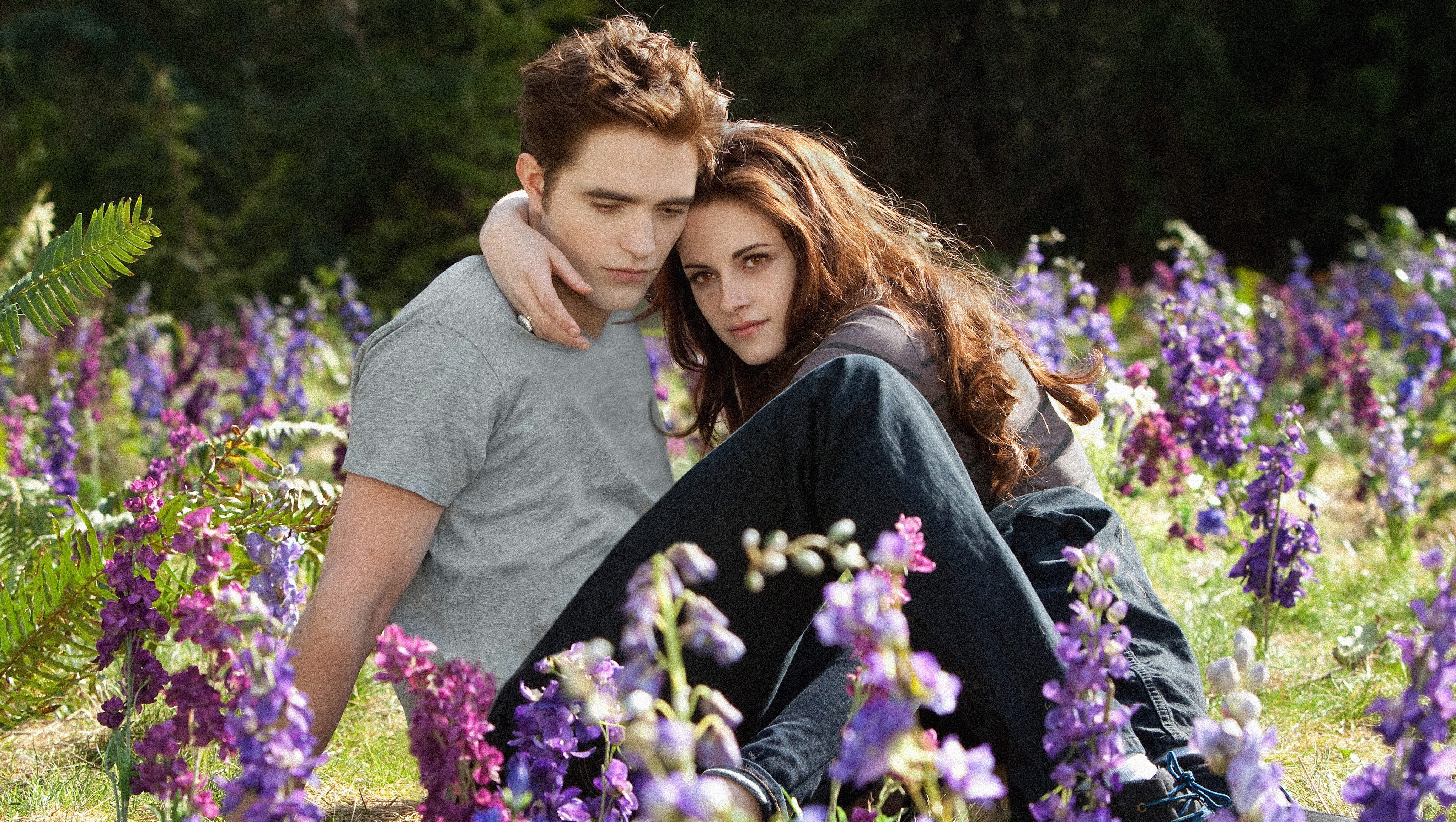 Breaking Dawn Part 2 Last Twilight Not Gleaming