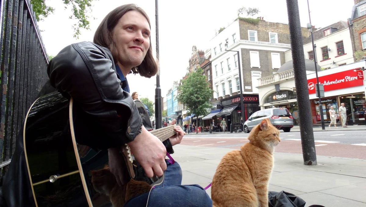 A Street Cat Named Bob Put Addict On Road To Recovery