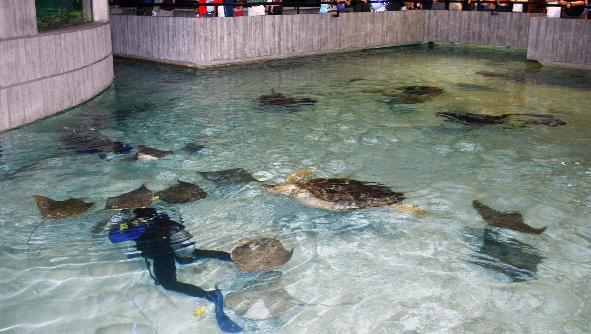 Workers Keep Watch Over National Aquarium