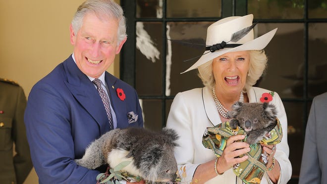 Prince Charles and his wife, Camilla Duchess of Cornwall, hold koalas in Adelaide, Australia.