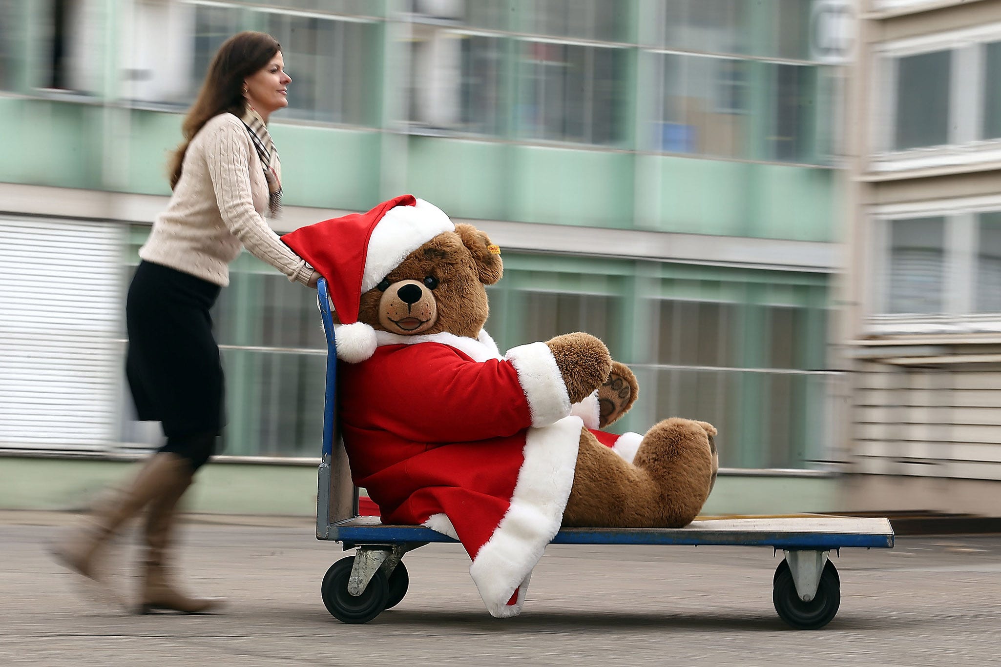 giant christmas bear