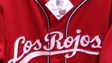 rojos jersey