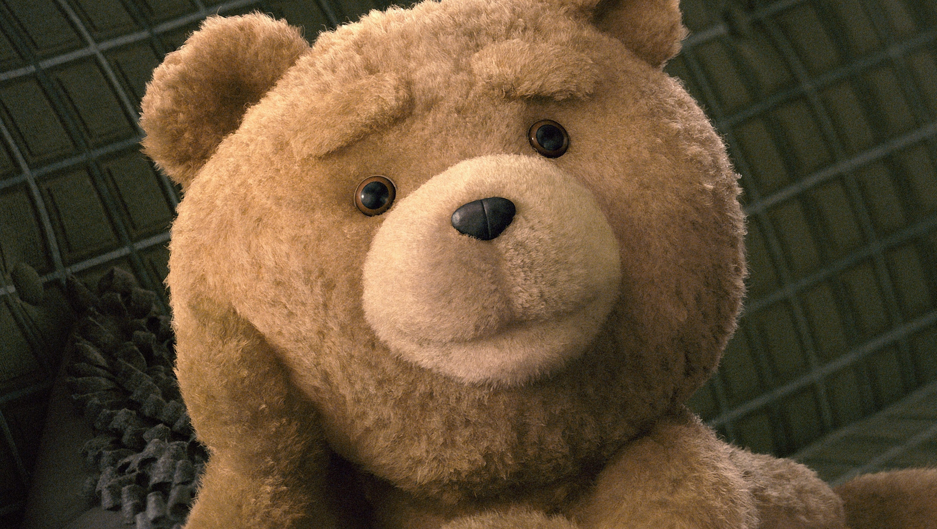 'Ted' bears all about stardom, Oscars