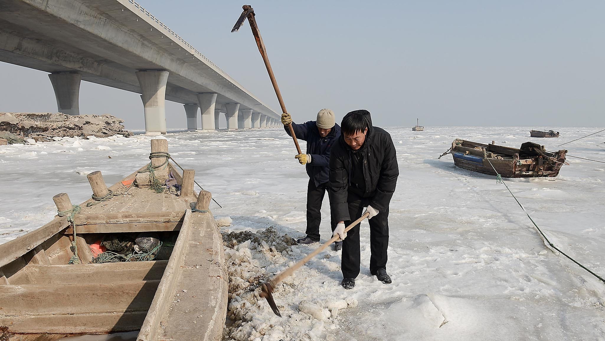 Cold in China kills about 180,000 cattle, threatens power