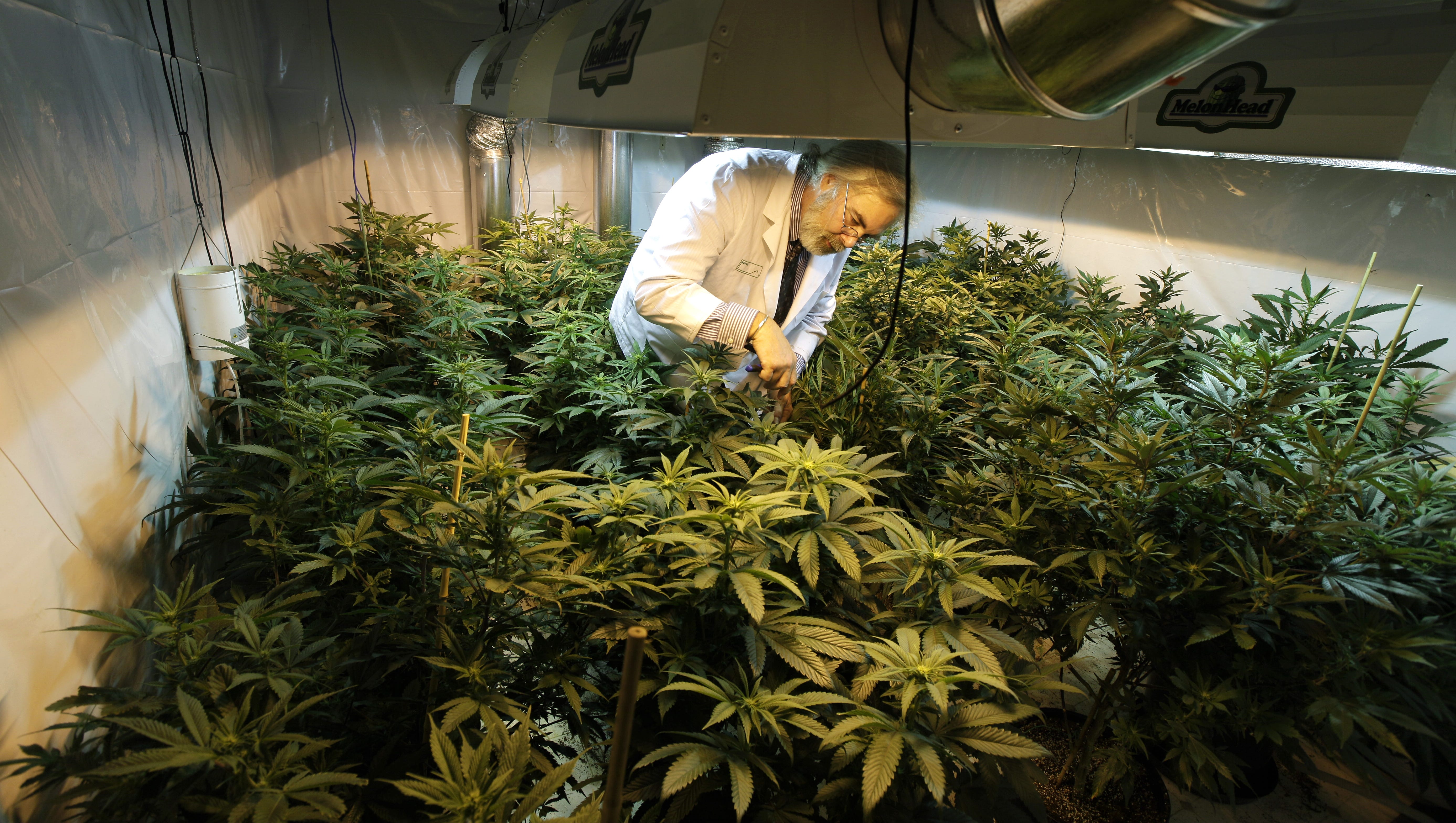 Neighbor states on guard against pot from Colo., Wash.