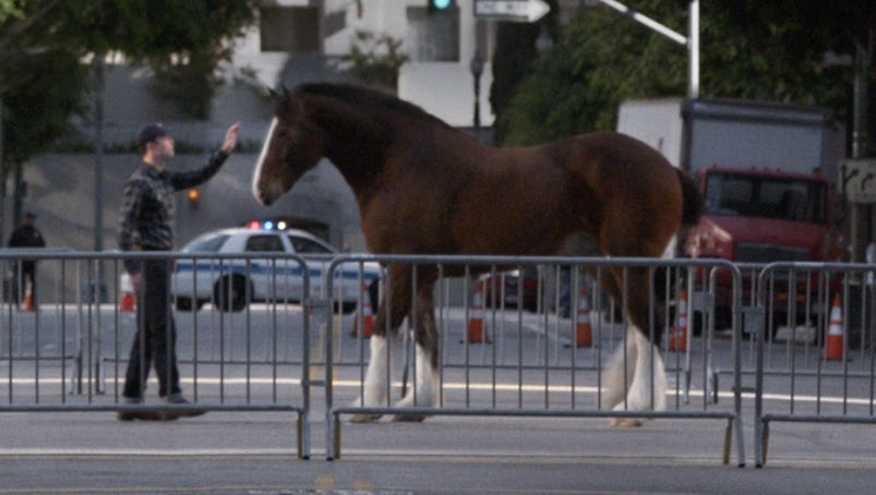 Budweiser S Clydesdale Wins Ad Meter By A Nose