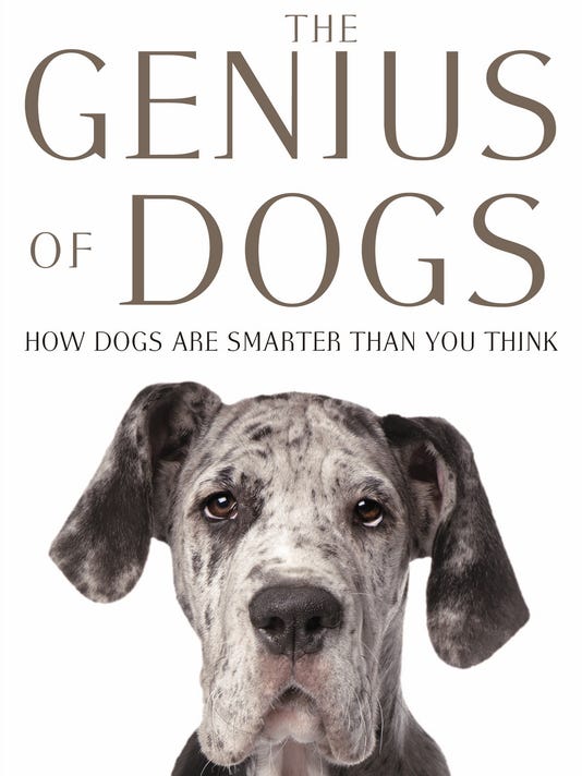 Dogs Are Smarter Than You Think And Here S Proof