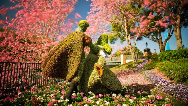 Richly-hued flowers adorn the Epcot International Flower & Garden Festival. The festival, which runs 75 days March 6-May 19, 2013, at Walt Disney World Resort in Lake Buena Vista, Fla., features dozens of character topiaries, stunning floral displays, workshops, the Flower Power concert series and presentations by HGTV personalities - all included in regular Epcot admission.