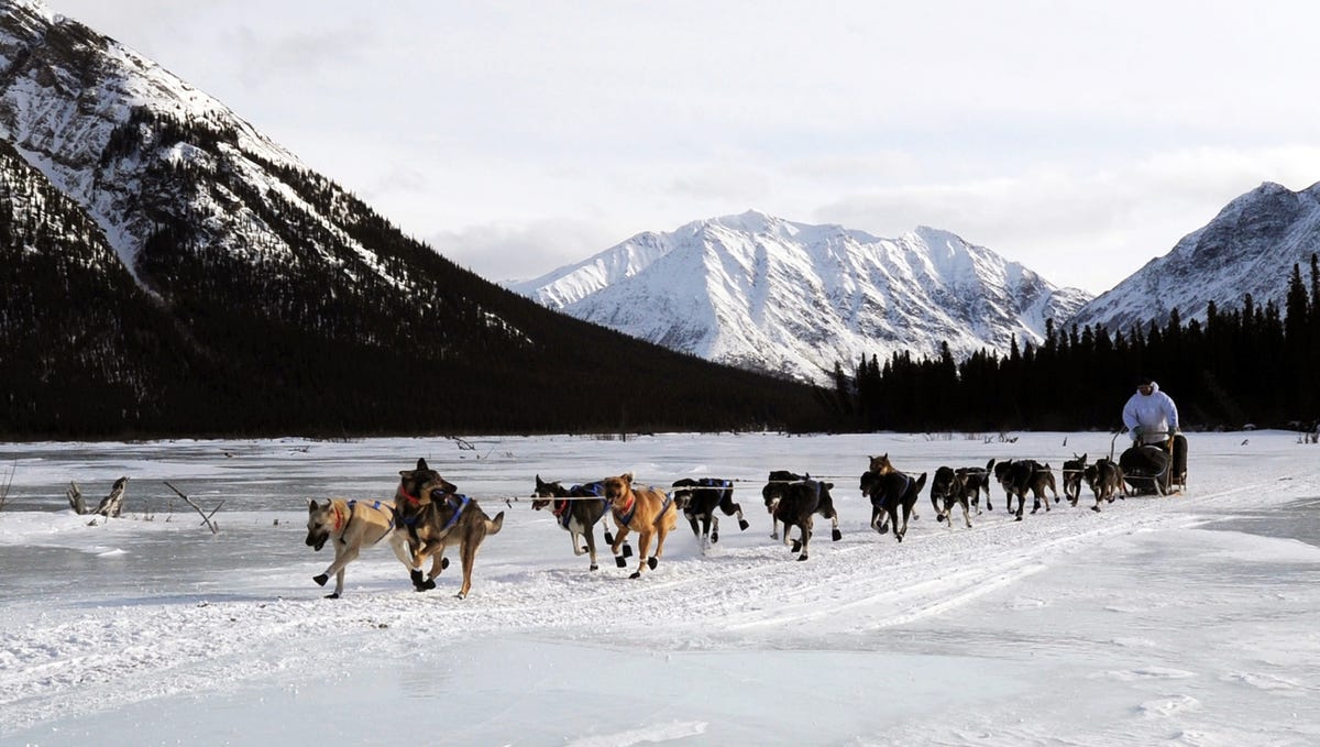Iditarod Trail Sled Dog Race takes off in Alaska